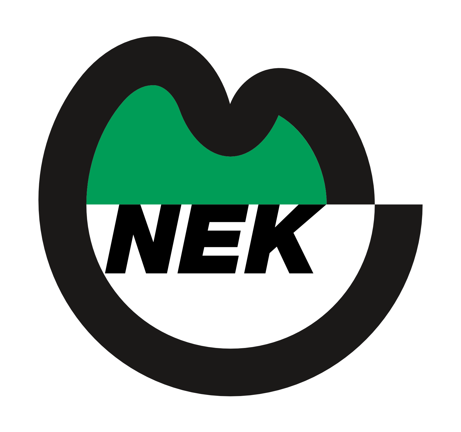 nek-logo-coloured-with-the-inscription.png